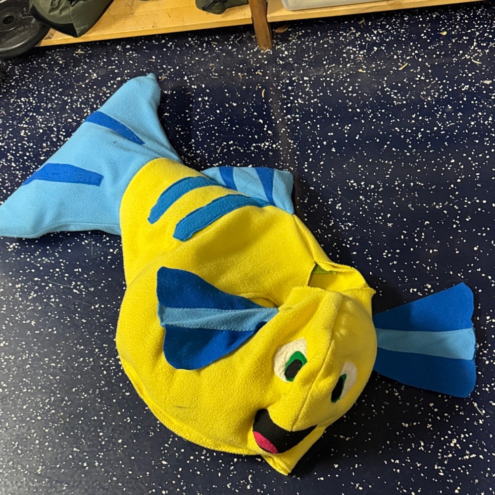 Blue and Yellow Fish Youth Costume Flounder